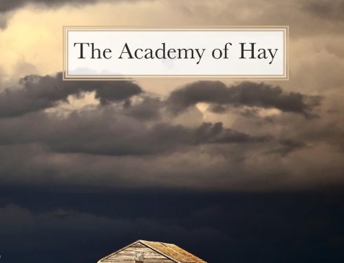 The Academy of Hay